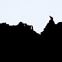 camo07-1.jpg