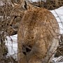 linx16.jpg